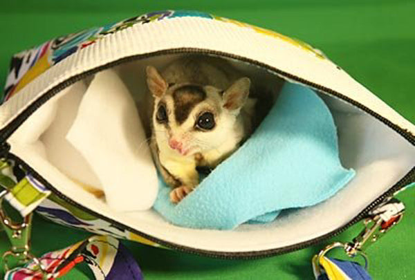 Holiday or Emergency Travel with Sugar Gliders