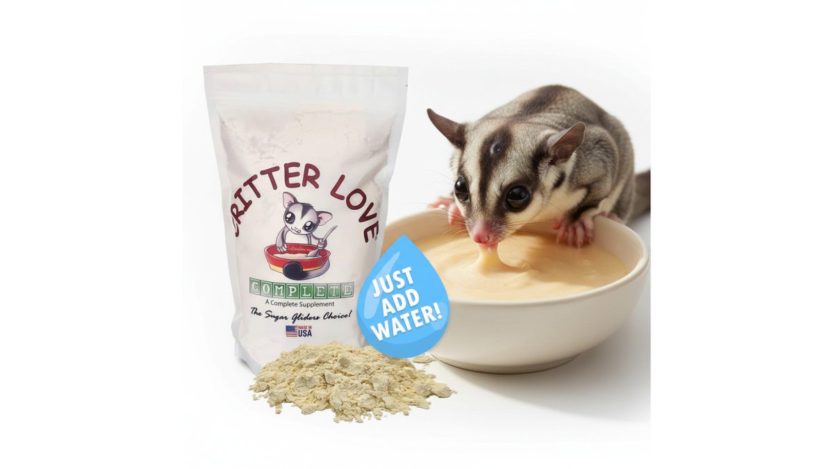 Best Staple Diet for Captive Gliders: Top 5 Picks