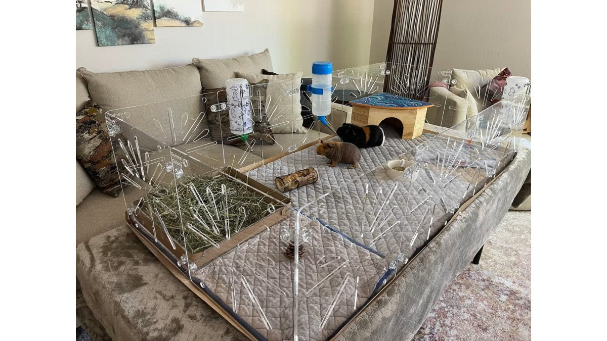 Acrylic Guinea Pig Cages: Size, Airflow and Cleaning Tips