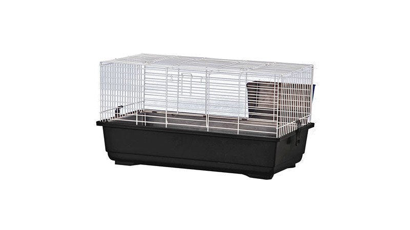 Risks of Generic Small Pet Enclosures: What to Avoid