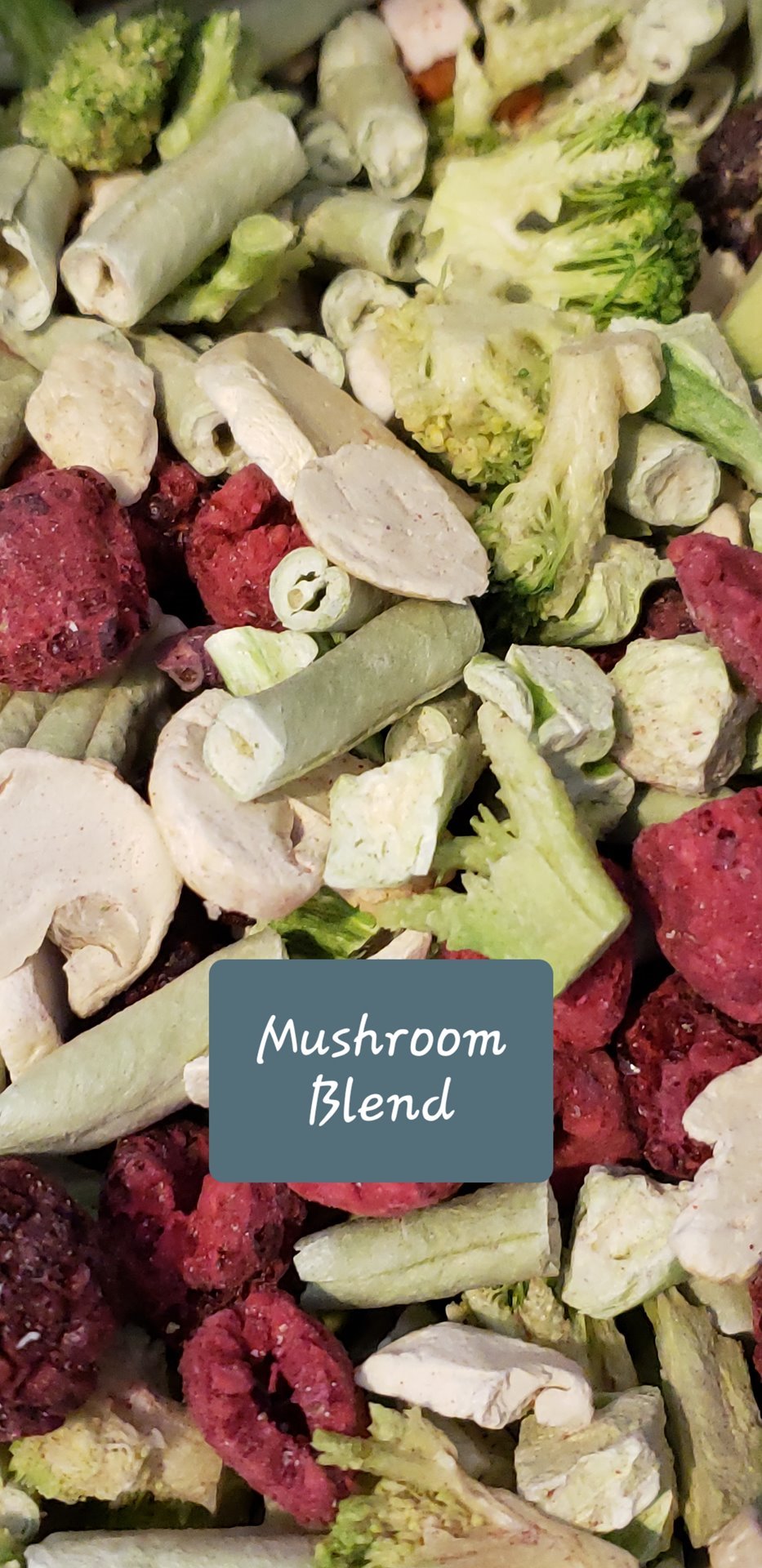 Critter Love Mushroom Blend Freeze Dried Salad