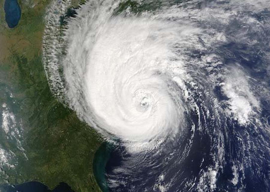 Hurricane Preparedness with Sugar Gliders