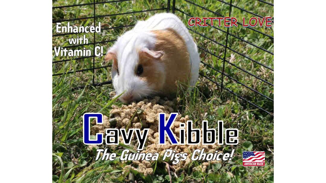 Why Premium Guinea Pig Food Matters: A 2026 Guide