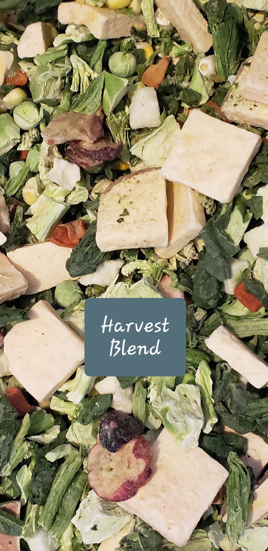 Critter Love Harvest Blend Freeze Dried Salad