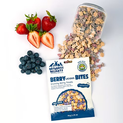 Berrylicious Bites