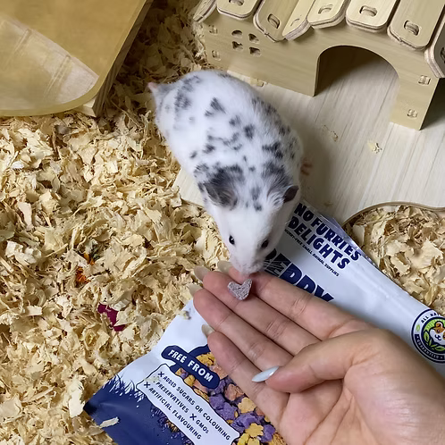 Berrylicious Bites