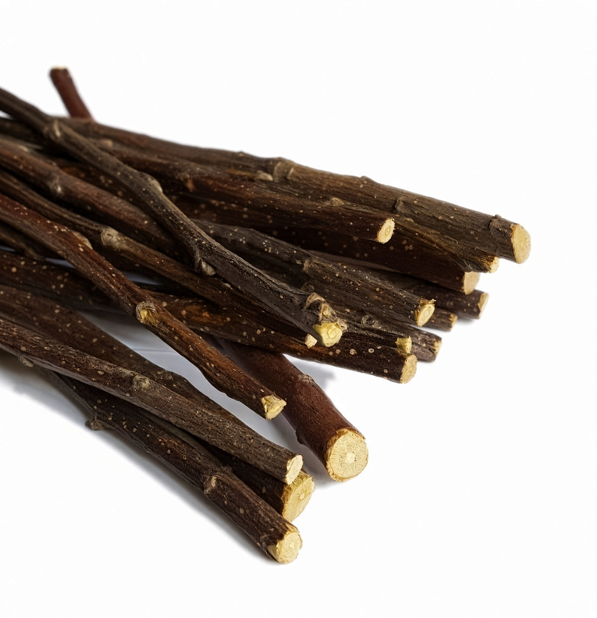 Critter Love® Apple Sticks – Natural Chewing Branches for Small Pets