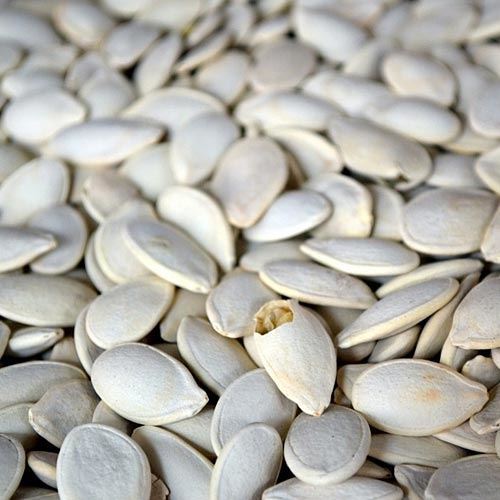 Critter Love® Pumpkin Seeds