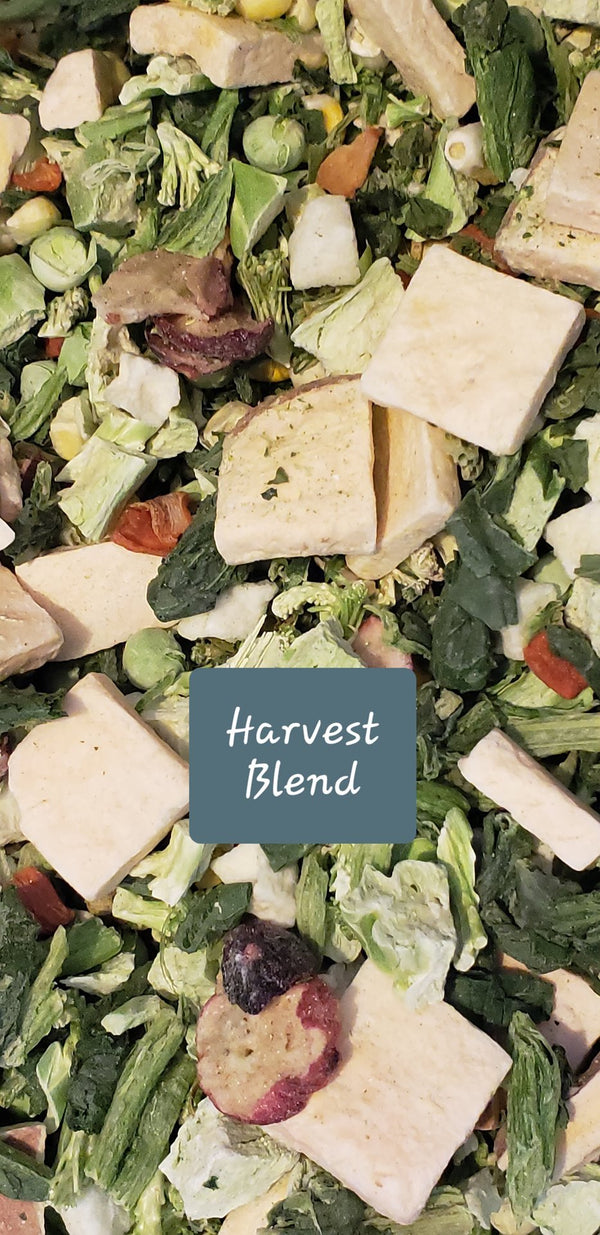 Critter Love® Harvest Blend - Freeze Dried Salad